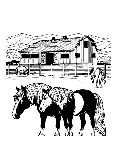 Pferde auf dem Reiterhof