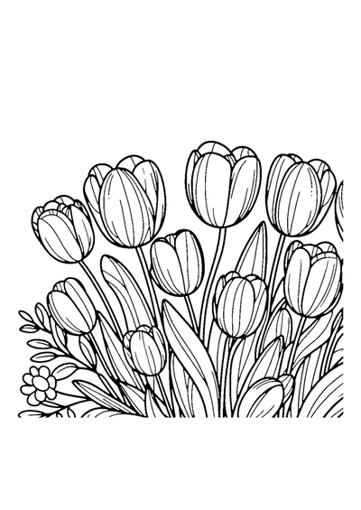 Tulpen in Petrol und Rot