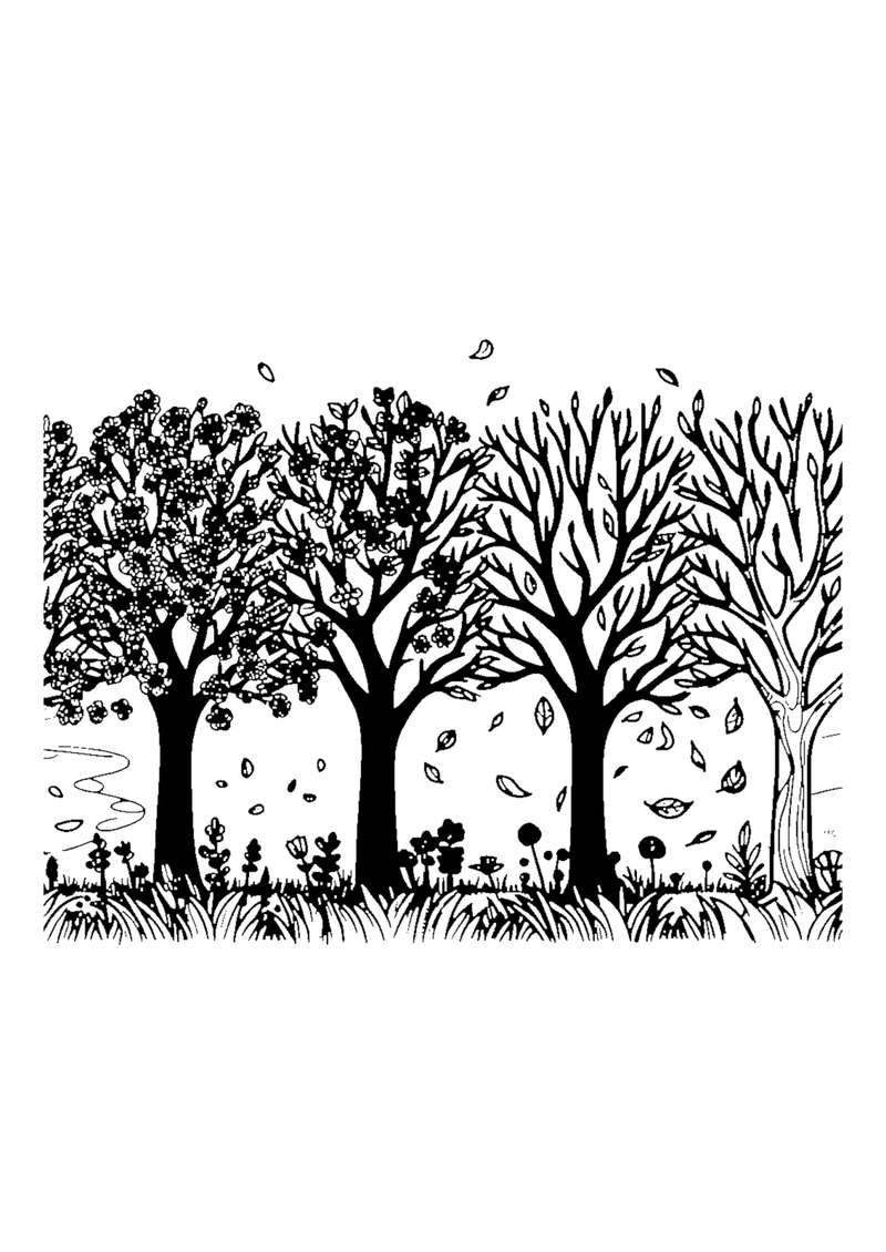 Bäume im Wandel der Jahreszeiten