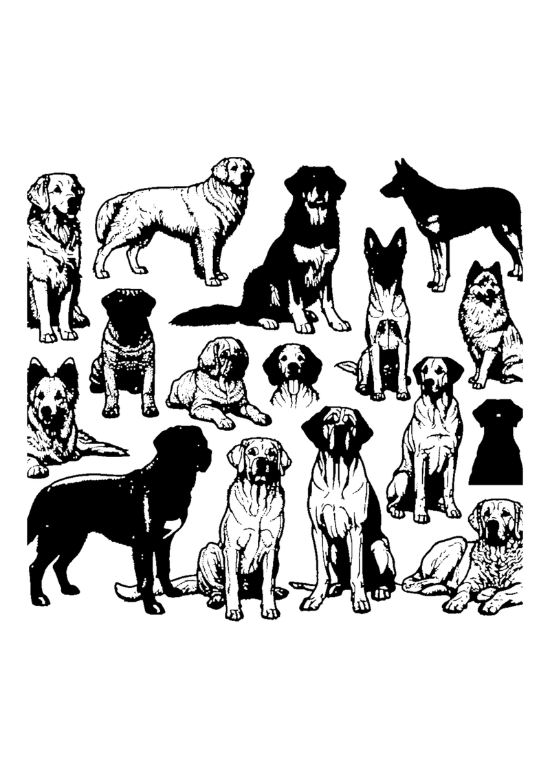 Verschiedene Hunderassen