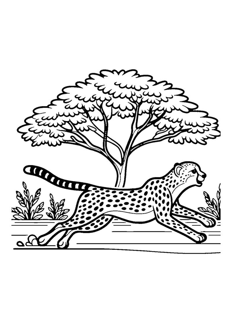 Schneller Gepard